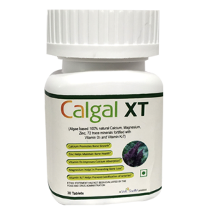 Calgal XT