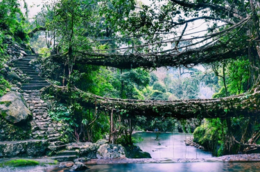 Meghalaya