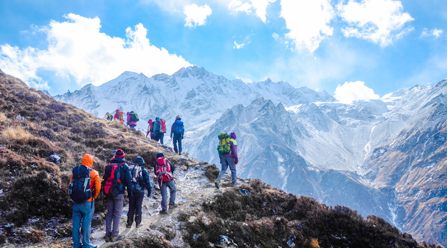 Header Picnic-Trekking small image beside the form1